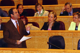 Jose Bono, ministro de Defensa, durante su intervención en la sesión de control al Gobierno en el Senado