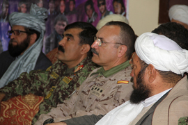 Más de 250 insurgentes se acogen al programa de reinserción afgano