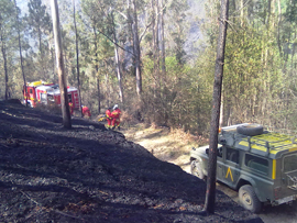 La UME trabaja en la extinción de incendios en el norte de España