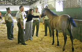 La SUBDEF visita los Centros de Cría Caballar en Andalucía
