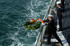 El comandante de la fragata Reina Sofía lanza una corona de flores a su paso ante el portaaviones Principe de Asturias, en el homenje rendido en las aguas de Cadiz, a los caidos hace 200 años en la batalla de Trafalgar