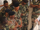 Militares de Cabo Verde en una reciente visita a España.