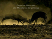 La naturaleza en los campos de tiro usados por Defensa