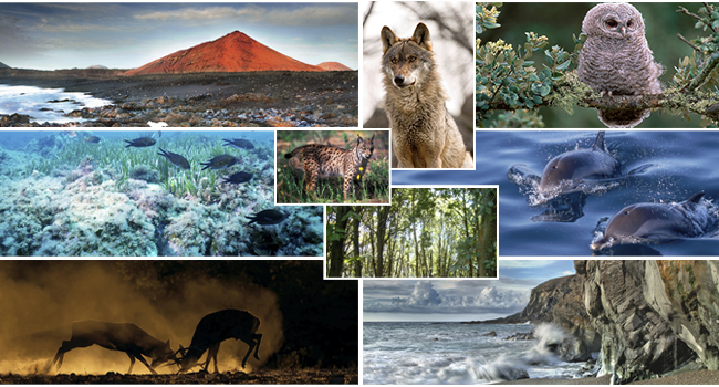 Nuevo portal web sobre Medio Ambiente en el Ministerio de Defensa