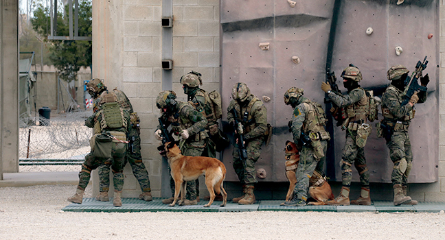 Los comandos del 2035