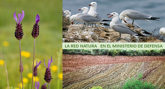 En defensa del Medio Ambiente