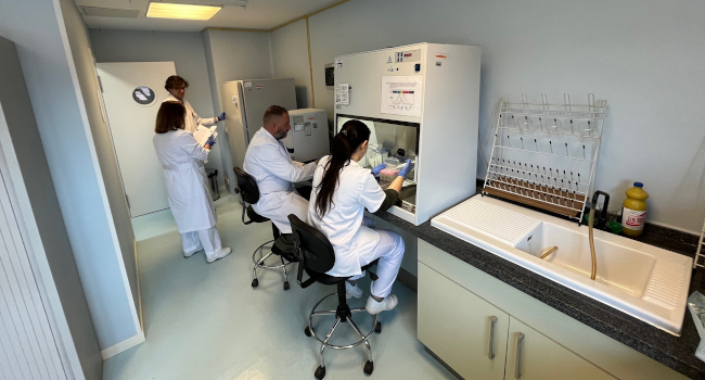 Las tareas encomendadas al Centro Militar de Veterinaria de la Defensa (CEMILVETDEF) van mucho más allá de la asistencia clínica de los perros y lo...