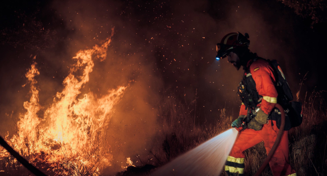 Declarada la emergencia de interés nacional por los incendios en Madrid y Ávila
