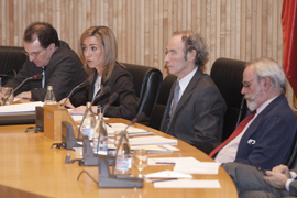 La ministra de Defensa Carme Chacón durante su comparecencia