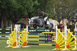 Defensa subasta 24 caballos