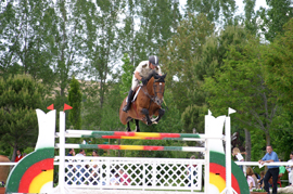 Defensa subasta 24 caballos