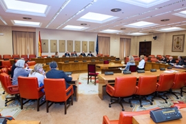 En la Comisión de Defensa del Congreso