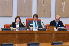 En la Comisión de Defensa del Congreso