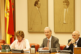 Misión de asesoramiento y apoyo