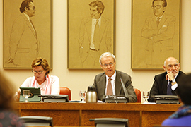 Misión de asesoramiento y apoyo