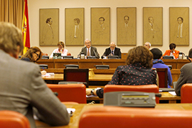 Misión de asesoramiento y apoyo