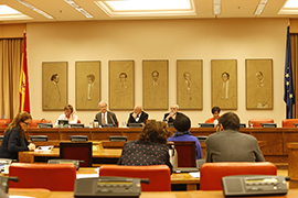 Misión de asesoramiento y apoyo