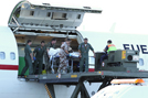 Los heridos en Ludina,repatriados y trasladados al 'Gómez Ulla'