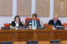 En la Comisión de Defensa del Congreso
