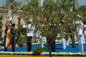 Cultura y sociedad - Día de las FAS - ACTO DEL DIA DE LAS FUERZAS ARMADAS EN SEVILLA