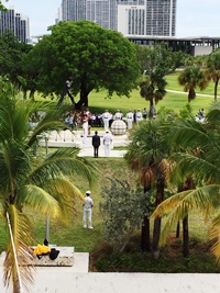 Tribute to the Fallen ceremony