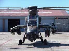 The Tiger's Artillery