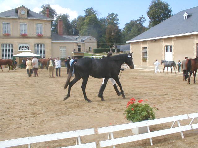concursando en Francia