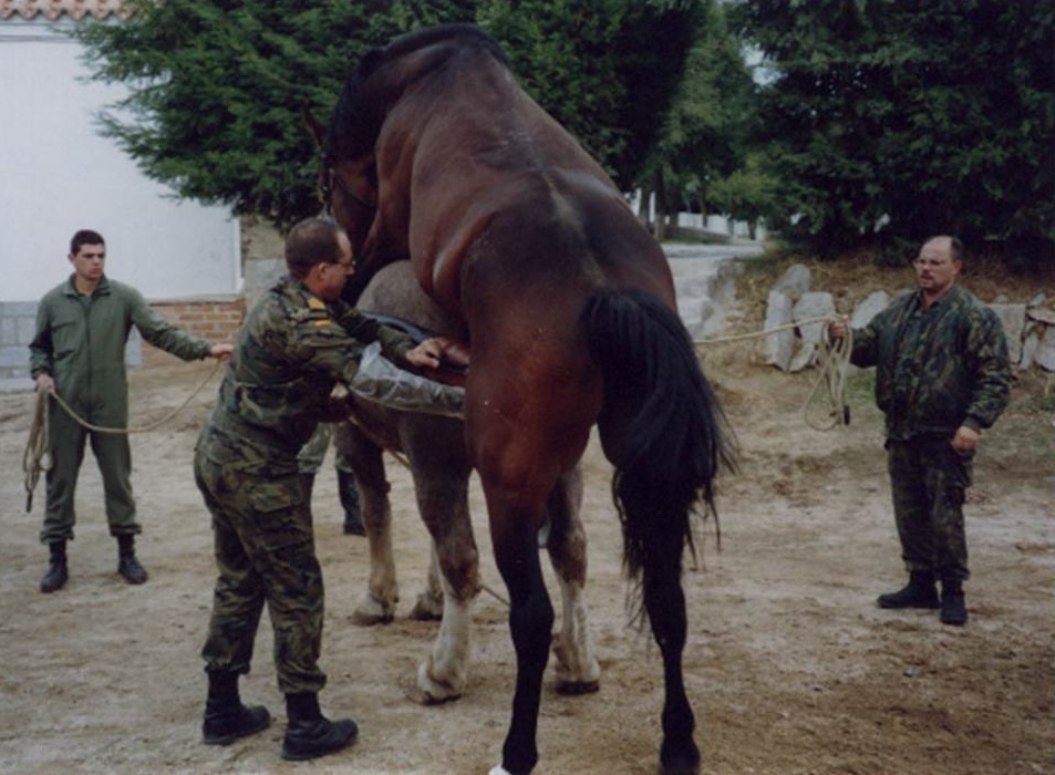 Extracción de Semen
