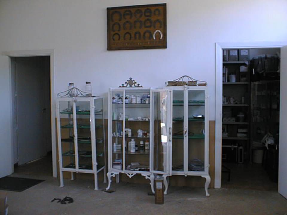 Sala de Curas del Servicio Veterinario