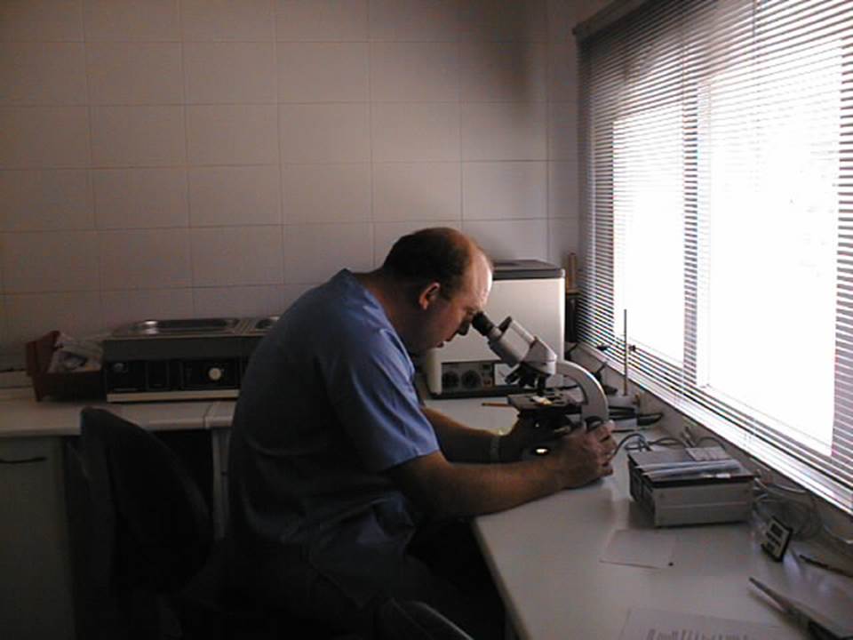 Servicio Veterinario