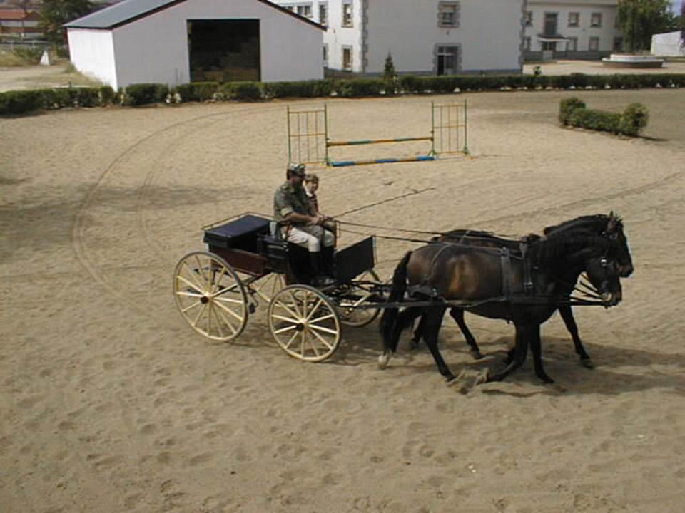 Trabajo de Enganches 2