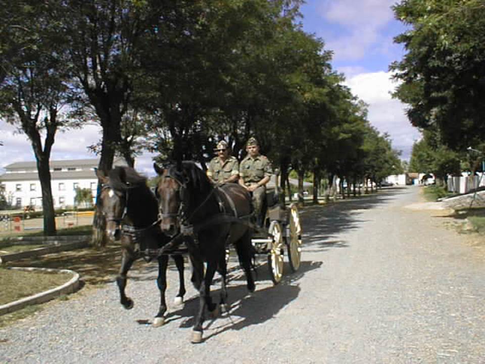 Trabajo de Enganches 4