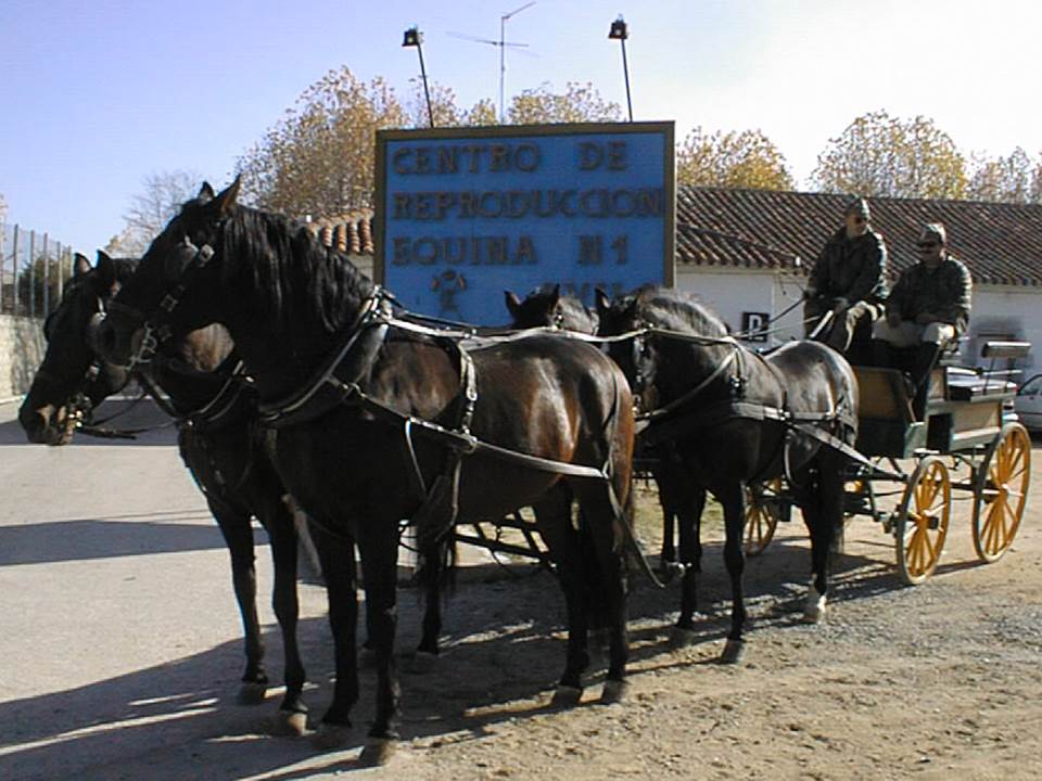 Trabajo de Enganches 5