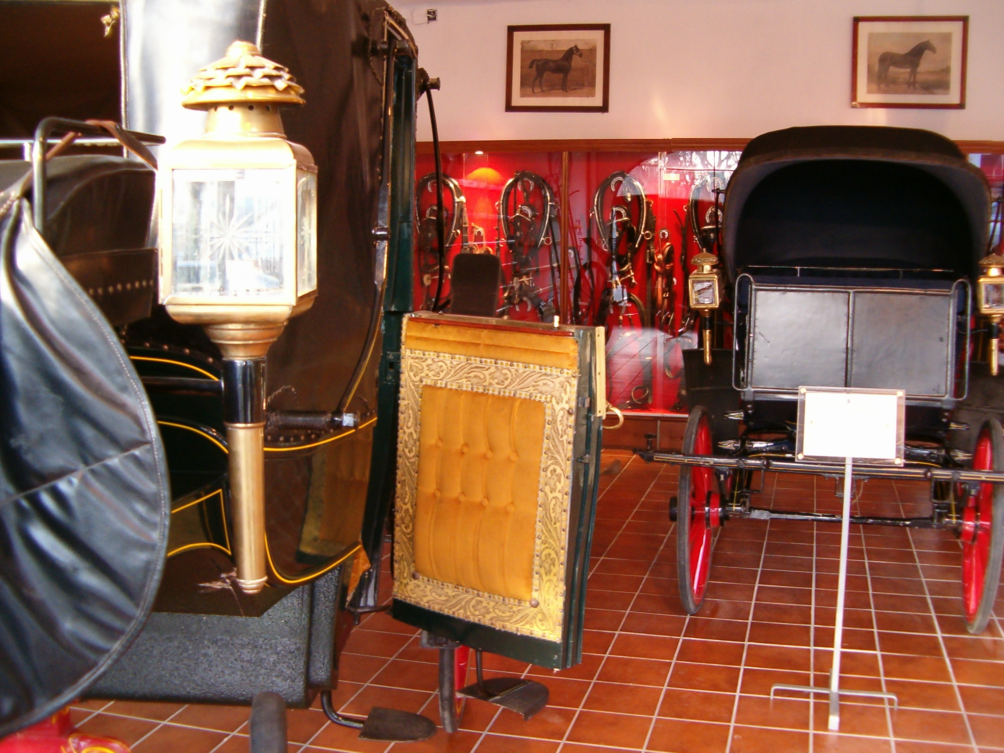 Vista Interior de las Cocheras