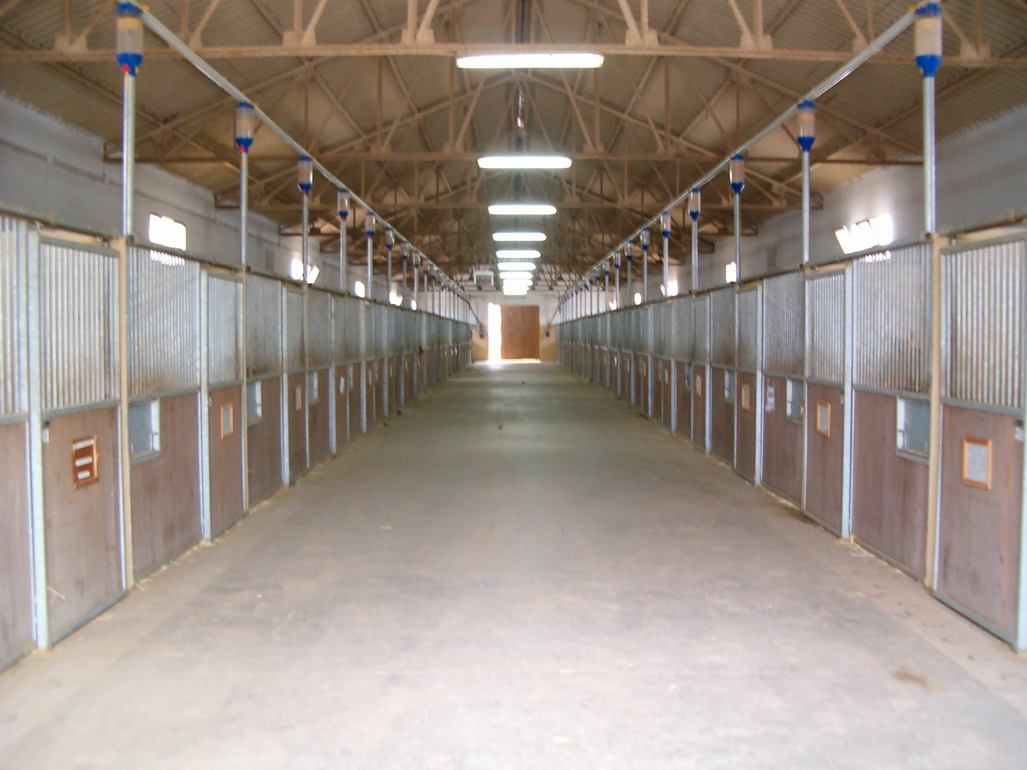 Vista Interior de la Cuadra