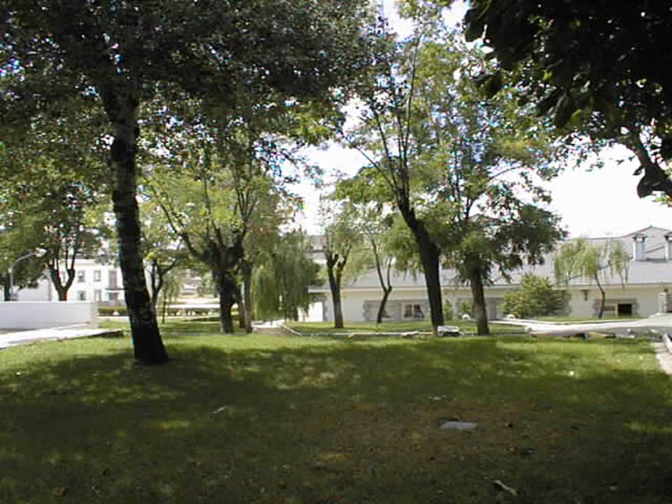 Vista del Centro 1