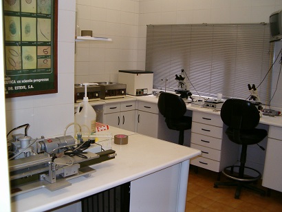 Laboratorio
