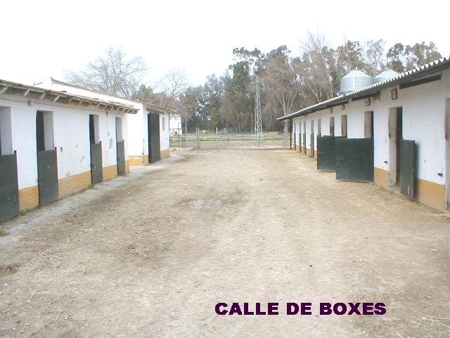 Calle de Boxes