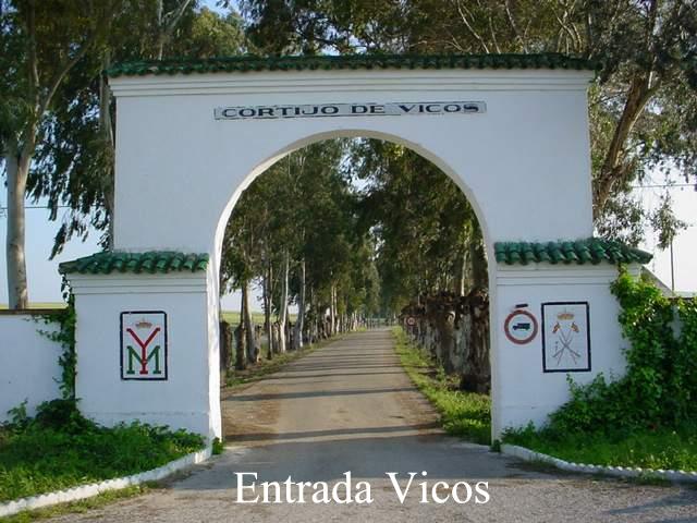Cortijo de Vicos 3