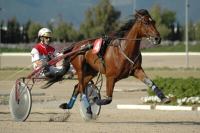 Trotador 2