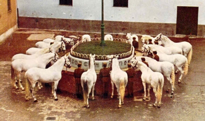 Depósito de Sementales de Alcalá de Henares