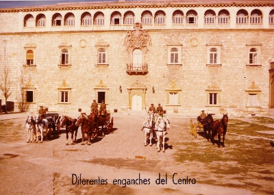 Depósito de Sementales de Alcalá de Henares