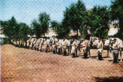 Depósito de Sementales de Alcalá de Henares