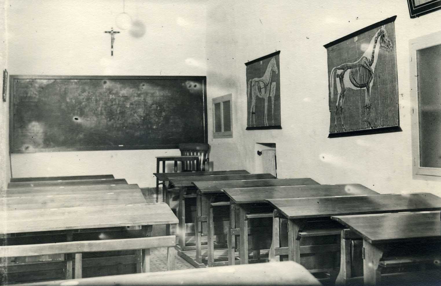 Depósito de Sementales de Córdoba