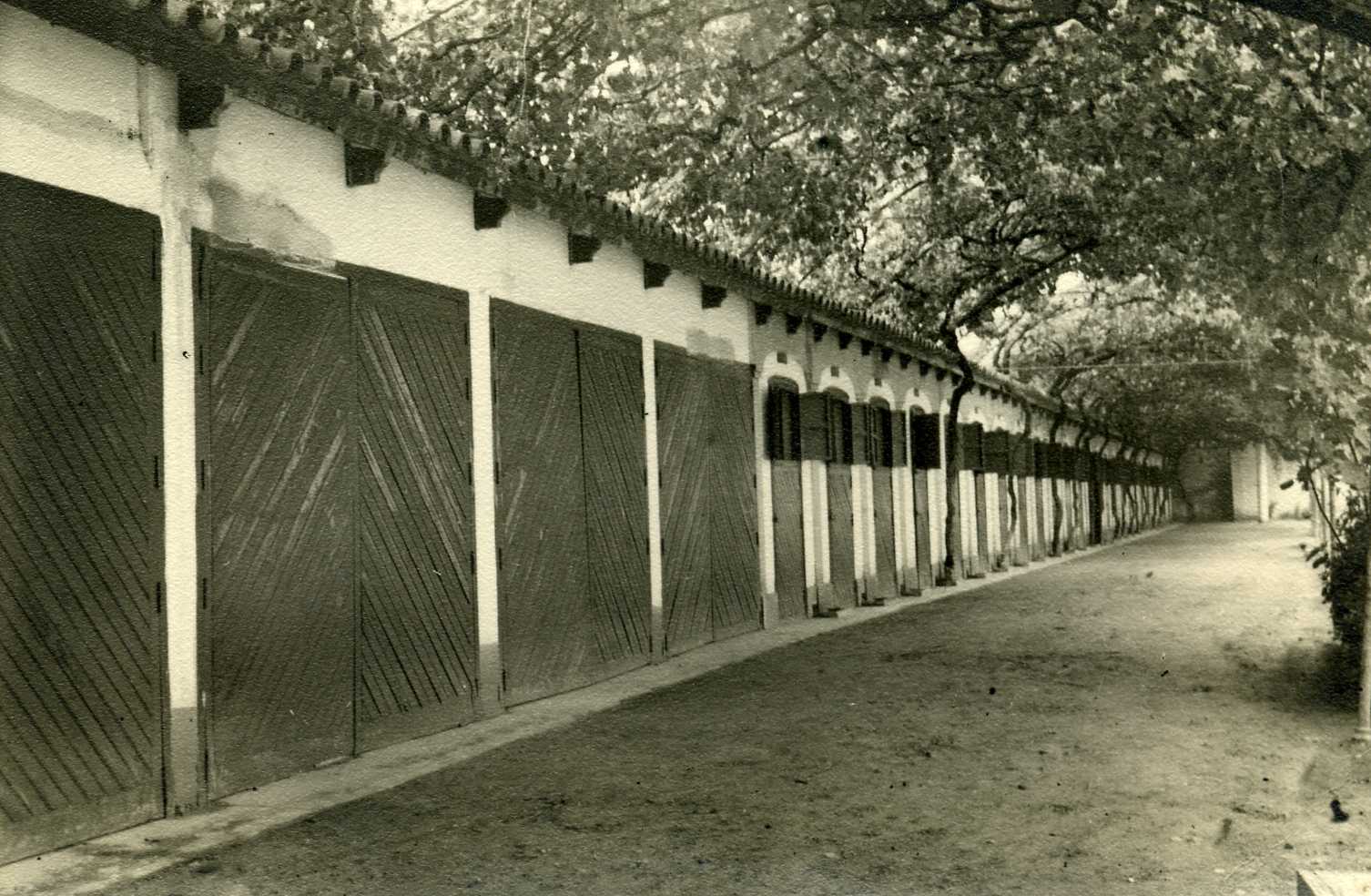 Depósito de Sementales de Córdoba