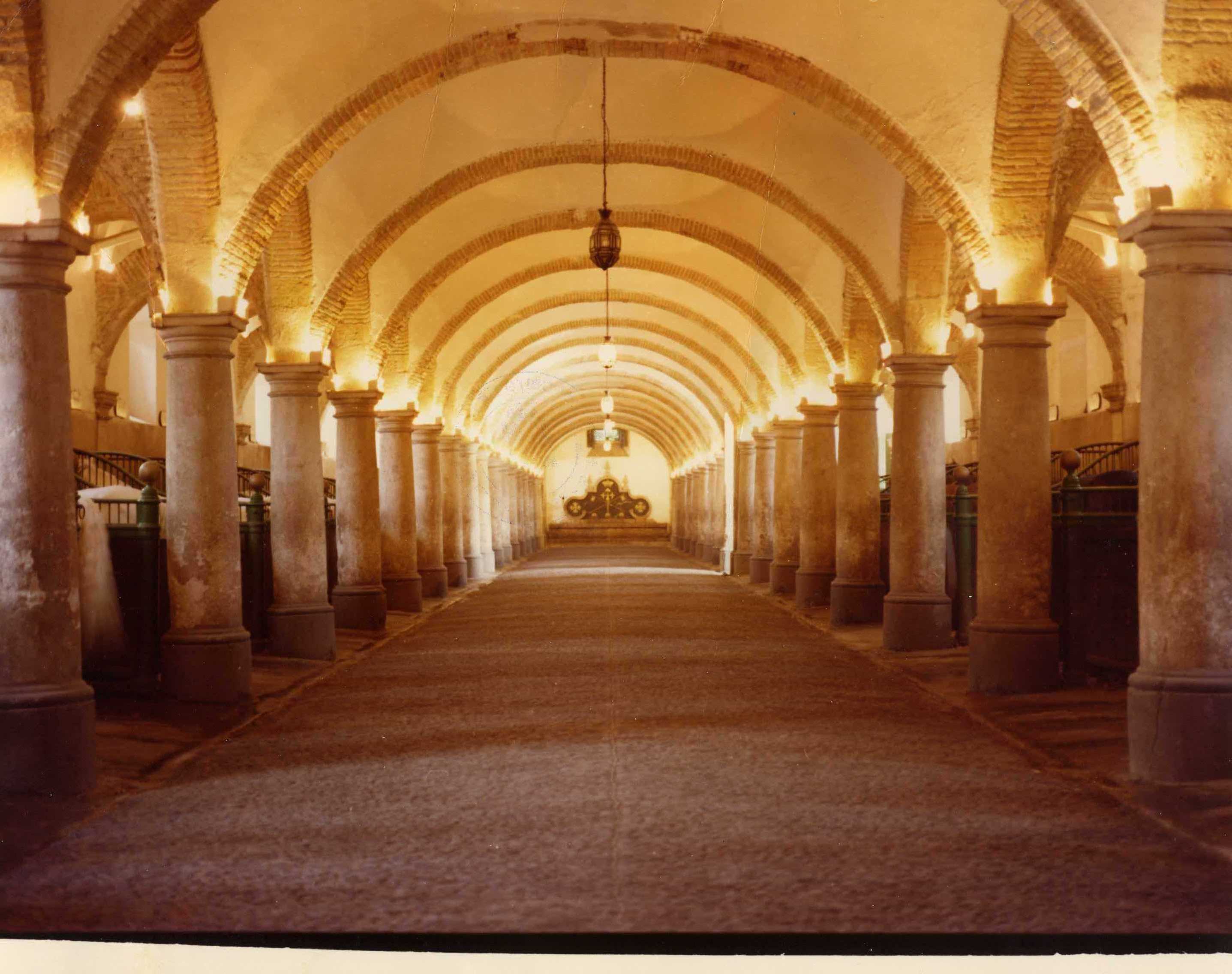 Depósito de Sementales de Córdoba