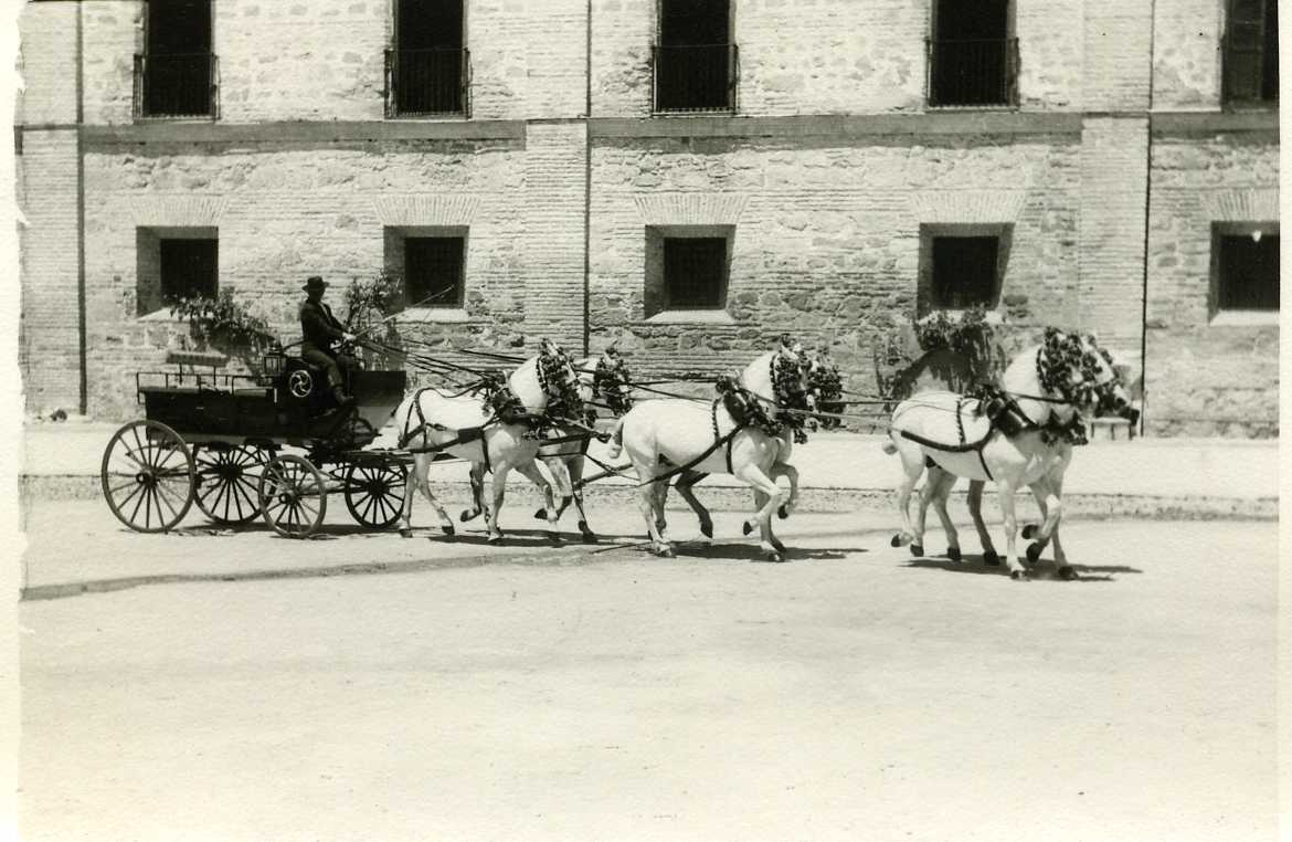 DEPÓSITO DE SEMENTALES DE CÓRDOBA