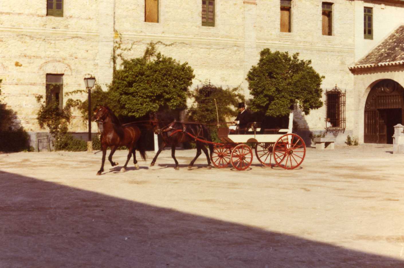 Coche Americano<BR>Caballos Taco Taco y Pabellón<BR>Mayoral Subtte. Lucena