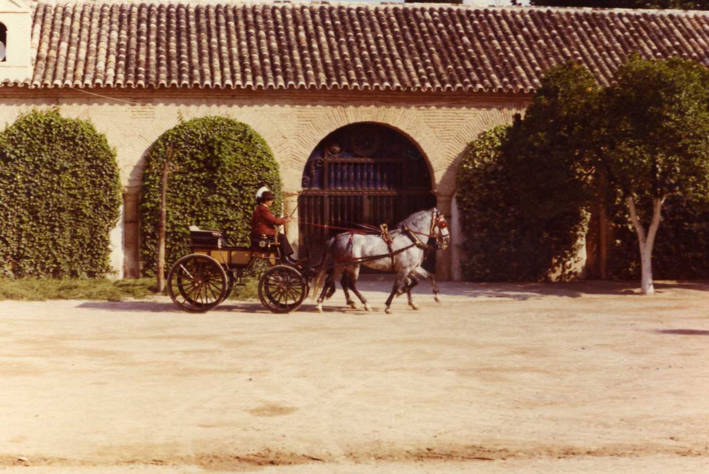 Coche Húngaro<BR>Mayoral Bgda. Domenech