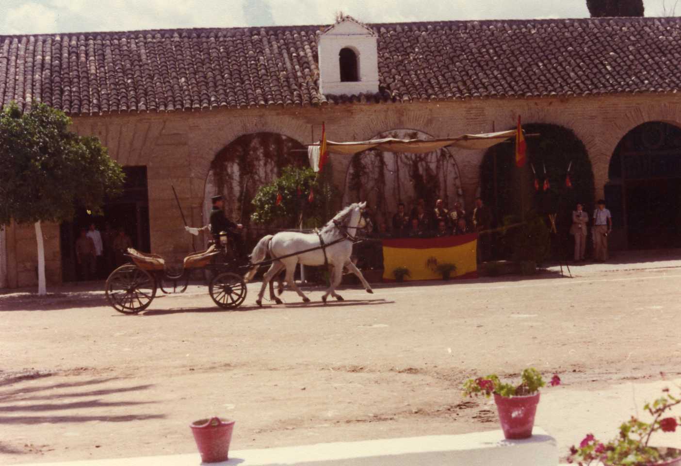 Coche Canastilla<BR>Mayoral Subtte. Martos